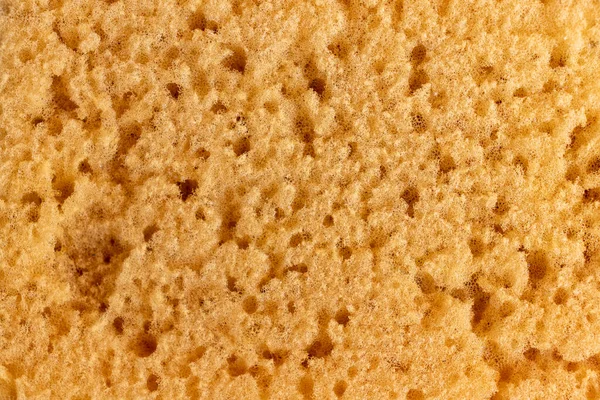 Texture Sponge Background — Photo