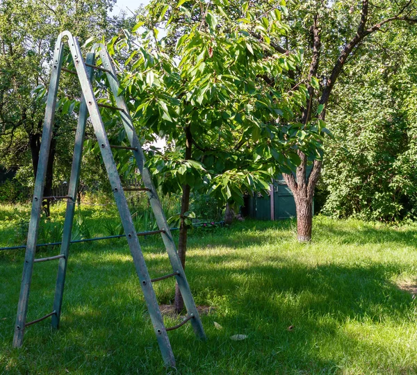 Banc Jardin Vert Dans Parc — Photo