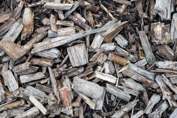 Close Pile Dry Brown Wood Texture — Photo