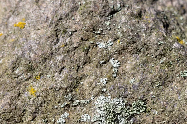 Textura Vieja Pared Piedra Con Musgo Liquen — Foto de Stock