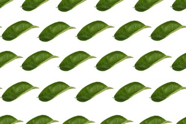 Green leaf seamless pattern. Decorative background from a leaf of a tangerine tree.