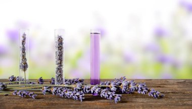 Üç tane lavanta çiçekli test tüpü ve ahşap üzerinde lavanta çiçekleri olan aroma özü. Doğanın bulanık arkaplanı.