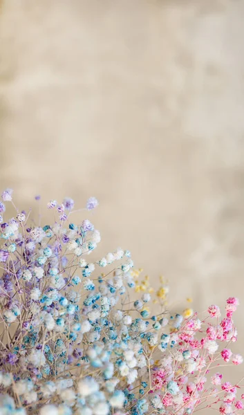Квіти різнокольорової гіпсофіли в букет з копією простору — стокове фото