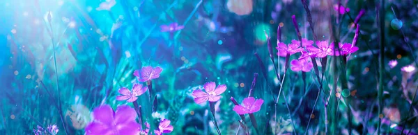Peri masalı açan pembe çiçekli büyülü fantezi manzarası — Stok fotoğraf