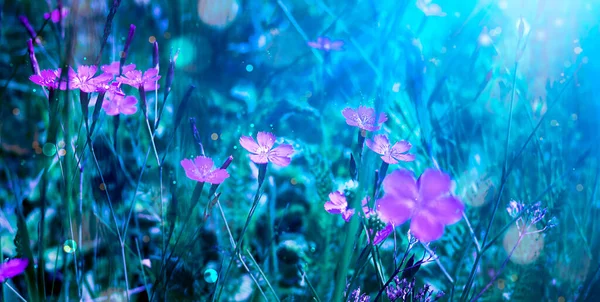 Magico paesaggio fantasy con fiore rosa fiabesco Immagine Stock