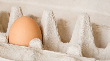 Tepside bir yumurta. yatay