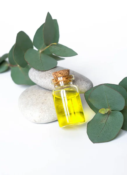 Herbal oil and eucalyptus on stones with copy space — Stock Photo, Image