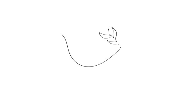 Peace symbol dove of peace. concept no war. one line art video — Stock Video