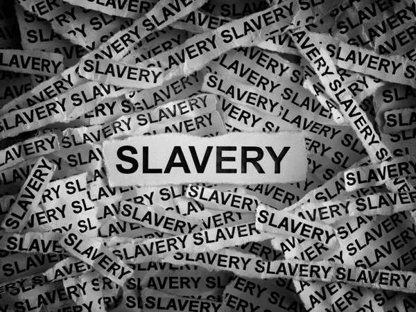 Slavery Torn Pieces Paper Words Slavery Black White Close — Stock Photo, Image
