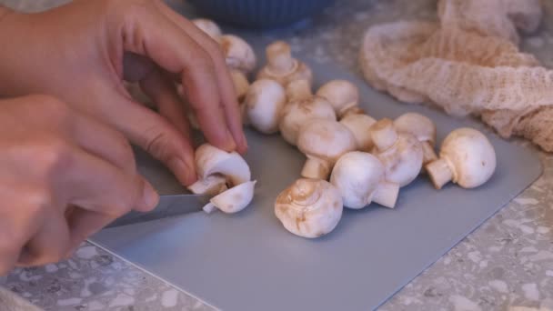 Uma Mulher Cortar Cogumelos Champignon Frescos Com Uma Faca Fechar — Vídeo de Stock