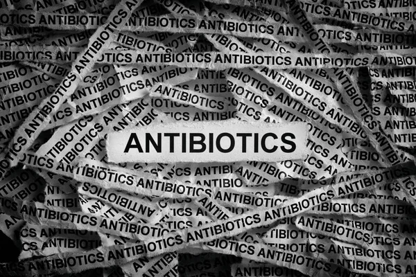 Zeitungsstreifen Mit Den Worten Antibiotika Schwarz Weiß Nahaufnahme — Stockfoto