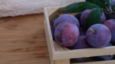 Küçük bir sandıkta taze toplanmış organik erikler. Kapat..