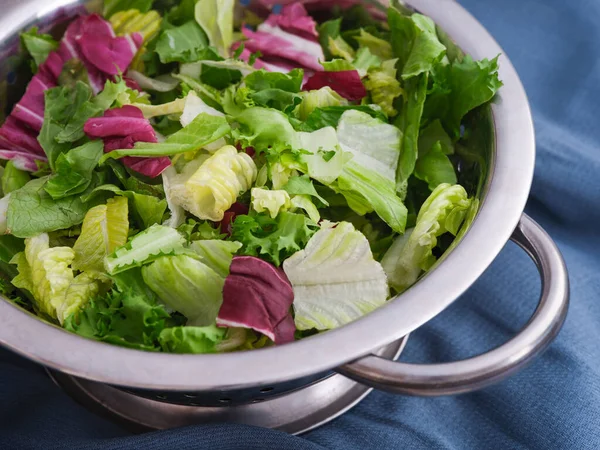 Romano Radicchio Saladas Frisee Misturados Uma Tigela Fechar — Fotografia de Stock