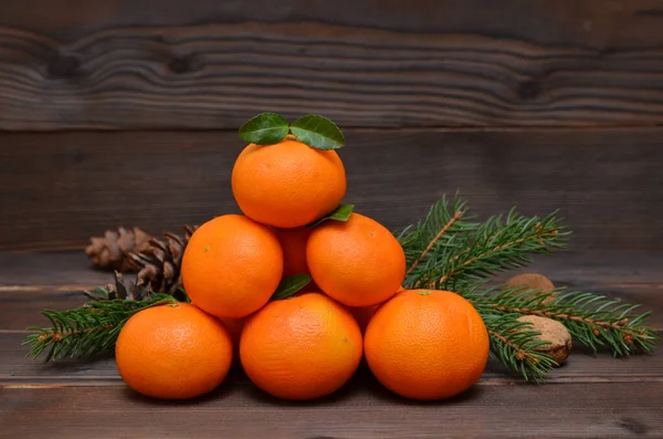 Still Life Tangerines Fir Branches Nuts Rustic Style — Stock Photo, Image