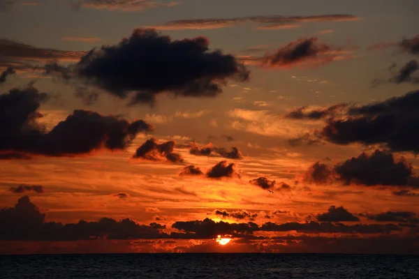 Magnifique Coucher Soleil Incroyable Bord Mer Dans Des Tons Orange — Photo