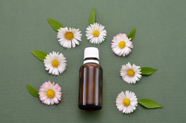 Aromatic massage oil in a bottle and daisy flowers nearby