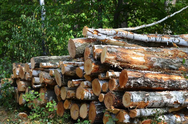 alternative fuels logging firewood for the heating season