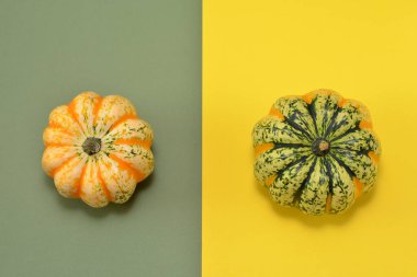 Sarı-yeşil arka planda iki yenilebilir balkabağı