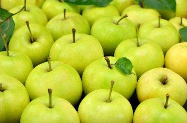 Yeşil elma arkaplanını kapat