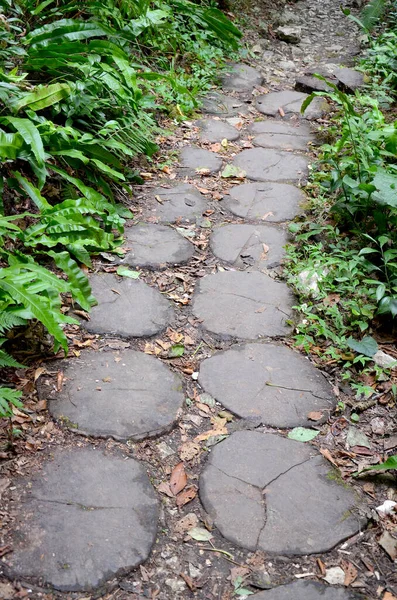 Beautiful Path Park — Stock Photo, Image