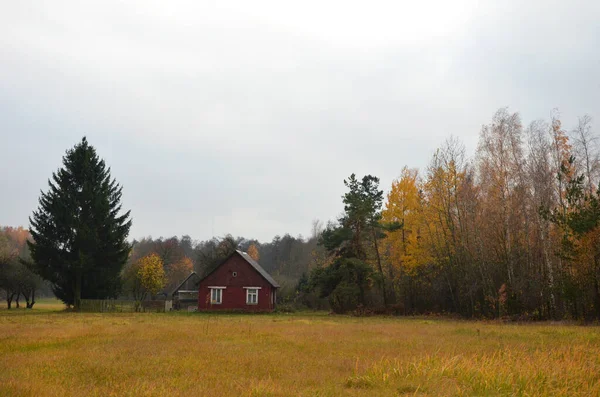 Lantligt Landskap Med Trähus Landet — Stockfoto