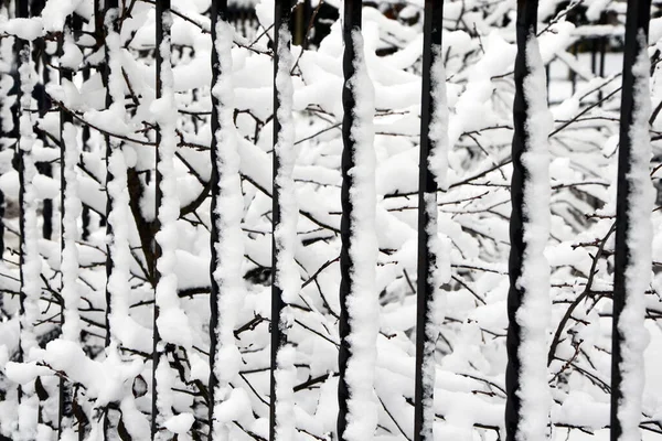 Black White Texture Snow Fence — Stock Photo, Image