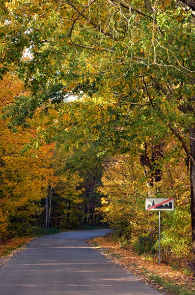 Väg Höstskogen Med Färgglada Blad Stockbild