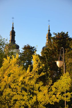 Yeşil ağaçların arasında güzel bir kilise