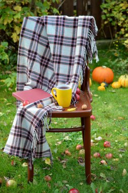 cup of tea, a plaid and a book on a chair, relaxing in the garden clipart