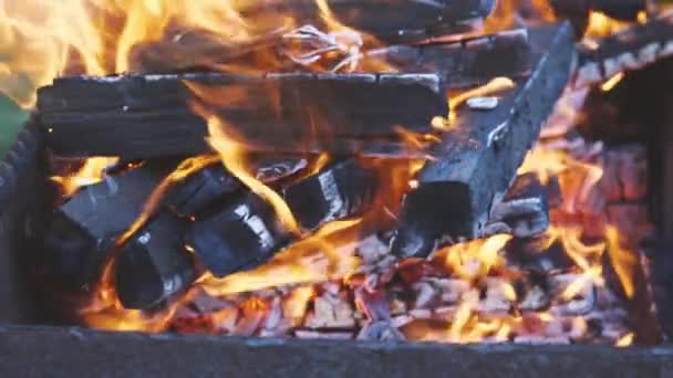 Повільна Стрільба Вогню Вогнепальне Спалювання Деревини Багатті Готуємо Вугілля Барбекю — стокове відео