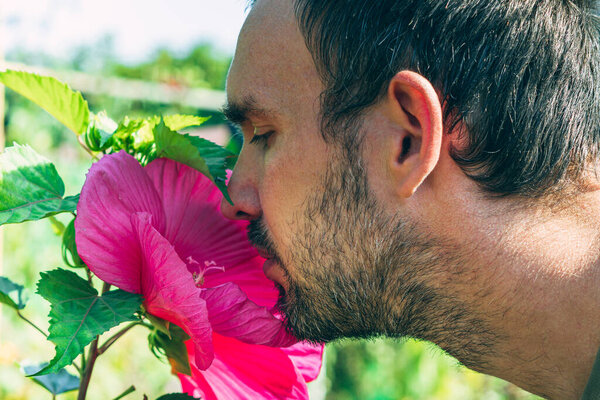 Голова мужчины нюхает розовый цветок гибискуса. Крупный план. Вид сбоку. Концепция романтики и садоводства