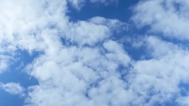 Timelapse Nubes Cúmulos Blancos Volando Través Cielo Azul — Vídeos de Stock