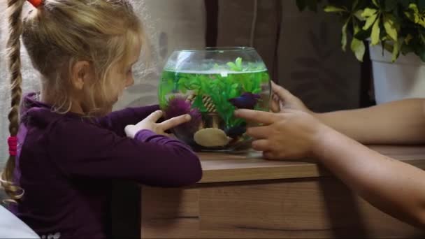 Fetiță Blondă Răsucește Acvariu Rotund Căutarea Unui Pește Conceptul Animale — Videoclip de stoc