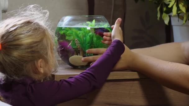 丸い水族館の前に魚と一緒に座っている金髪の子供の女の子 子供とペットの相互作用の概念 — ストック動画