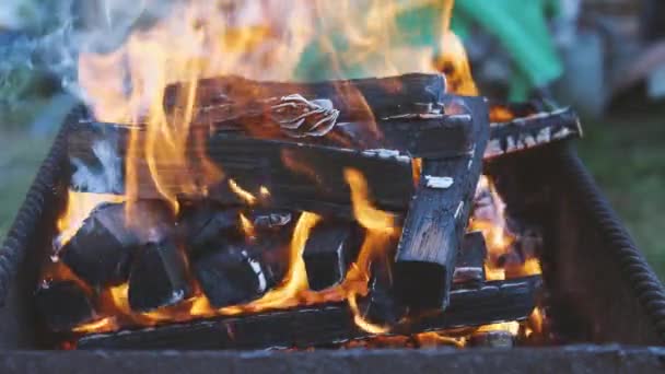 Zeitlupenaufnahmen von einem Stapel Brennholz, der im Feuer brennt. Rote und gelbe Flammen am Lagerfeuer. Grillkohle kochen. — Stockvideo