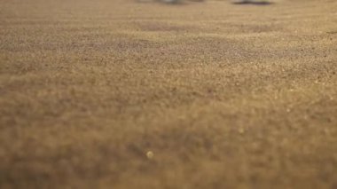 Kum tanelerinin hareketinin yavaş çekim görüntüsü. Rüzgarın kum kovalarkenki makro görüntüleri.