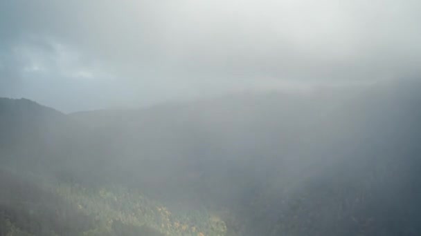 Ett timelapsmoln svävar över trädtopparna som står på berget. Kamerans långsamma rörelse. — Stockvideo