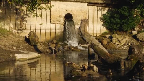 В реку стекает сточная вода из канализационной трубы. В воде лежит ствол дерева и плавающая пена. Загрязнение окружающей среды. Концепция экологии. — стоковое видео