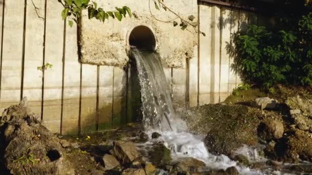 Primo piano dello scarico delle acque reflue nel fiume alla periferia della città. Il concetto di ecologia. — Video Stock