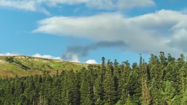 松林の上の山の中で青い空にタイムラプスの白い雲 滑らかなカメラの動き 自然の美しさ — ストック動画