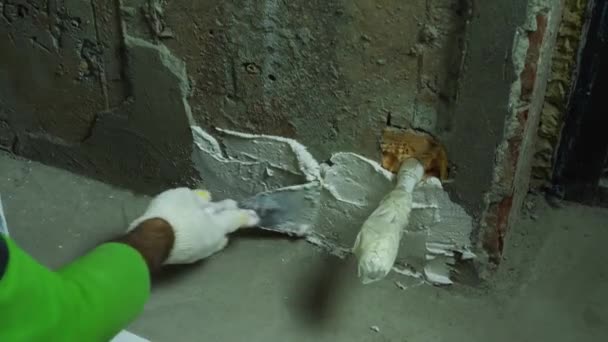 Seorang Pria Bersarung Tangan Dengan Plester Sekop Dinding Konsep Dari — Stok Video
