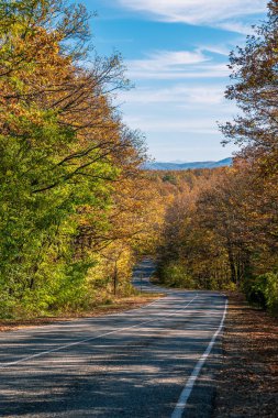 Parlak bir sonbahar ormanının ortasında asfalt bir yol. Arka planda dağ ve mavi gökyüzü var. Seyahat kavramı