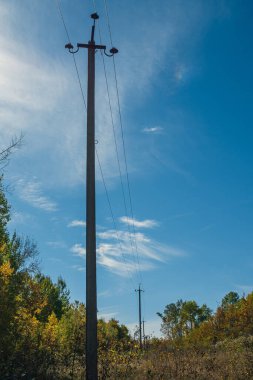 Mavi gökyüzüne karşı elektrik hatlarının beton kutupları. Kutupların yanında bir sonbahar ormanı var.