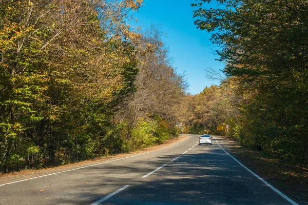 Λευκό Ταξί Έναν Έρημο Επαρχιακό Δρόμο Κίτρινο Πράσινο Δάσος Κατά — Φωτογραφία Αρχείου
