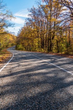 Sonbahar ormanının ortasında beyaz işaretli bir köy asfalt yolu. Arka planda bulutlu mavi bir gökyüzü var.