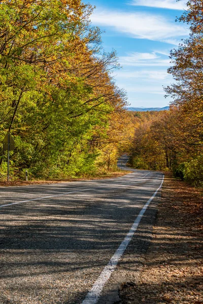 Uma estrada rural sinuosa entre a floresta de outono amarelo-verde. Com a montanha e o céu azul ao fundo. Conceito de viagem. — Fotografia de Stock
