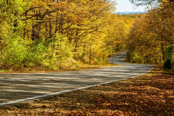 Una strada di campagna con curve tortuose tra la foresta autunnale giallo brillante. Sullo sfondo si vedono montagne e cielo azzurro. Concetto di viaggio. — Foto Stock