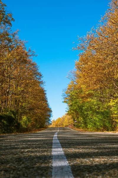 Strada di campagna diritta con una striscia bianca di indicazioni stradali. Alberi giallo-verdi sul ciglio della strada. Cielo blu sullo sfondo. — Foto Stock
