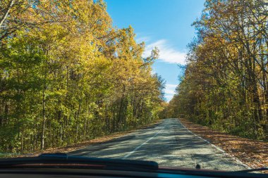 Sonbahar ormanları arasında bir kır yolu üzerinde arabanın içinden bir görüntü. Arka planda mavi bir gökyüzü var. Arabayla seyahat etme kavramı.