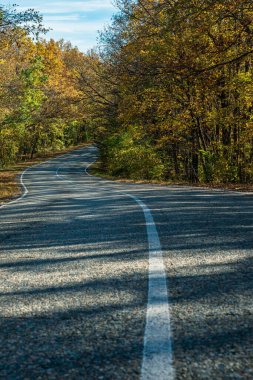 Asfalt yolda kıvrımlı beyaz bir şerit. Yolun kenarlarında sarı-yeşil sonbahar ormanı. Arka planda bulutlu mavi bir gökyüzü var. Dipteki öngösterim